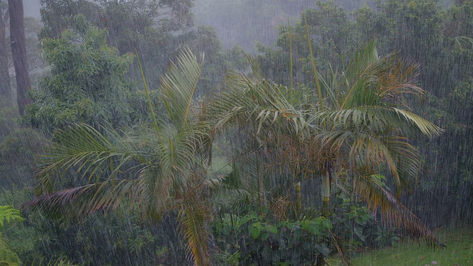 Odisha and Andhra to get heavy rainfall in coming days: Met department