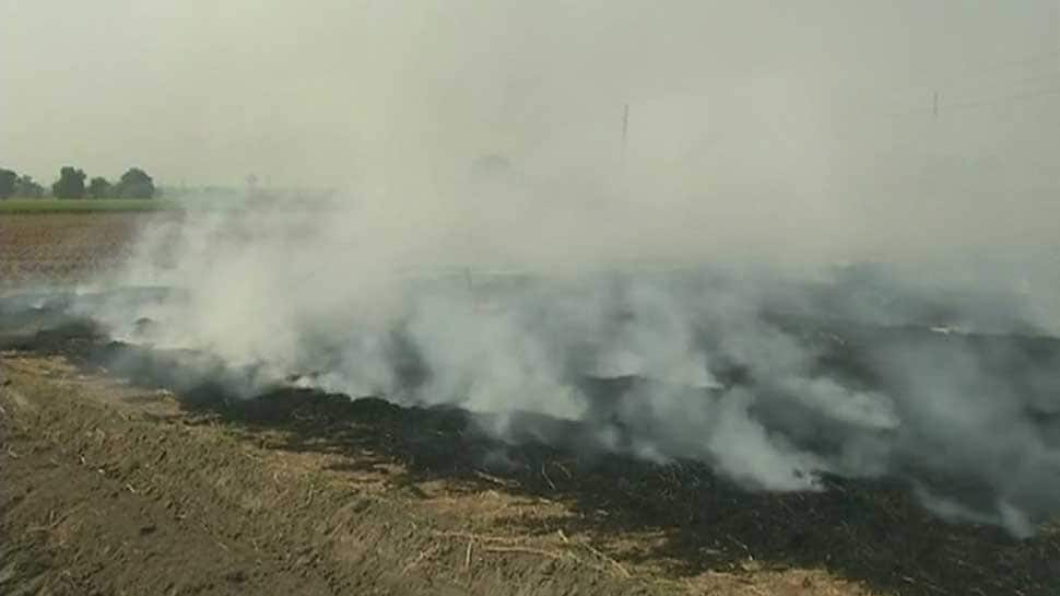 Farmers continue stubble burning in Punjab while Delhi&#039;s air quality comes under &#039;very poor&#039; category