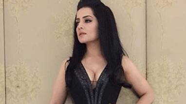 Celina Jaitly returns to Bollywood