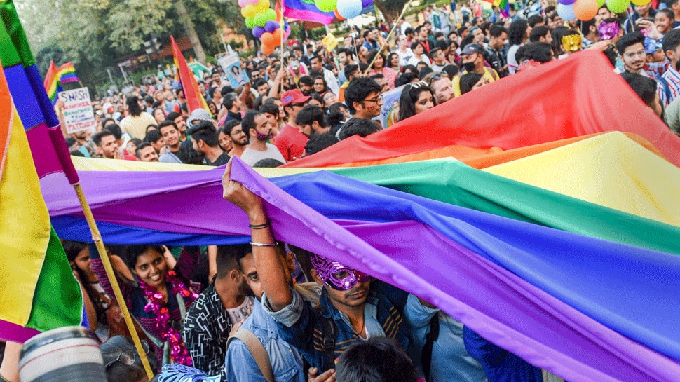 A parade to pride Delhi LGBT+ community walks to claim their place in society India News