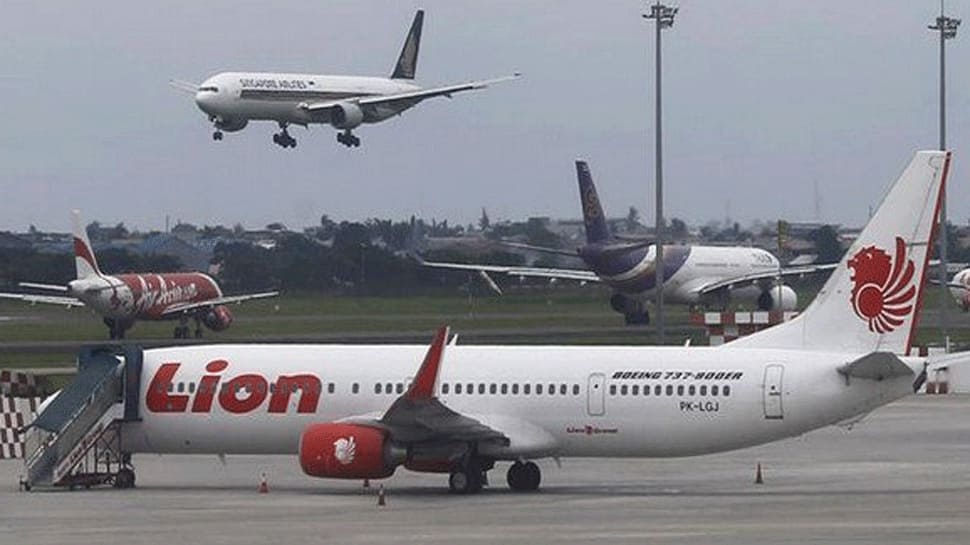 Lion Air crash: Pilots struggled to control plane, says Indonesian probe panel