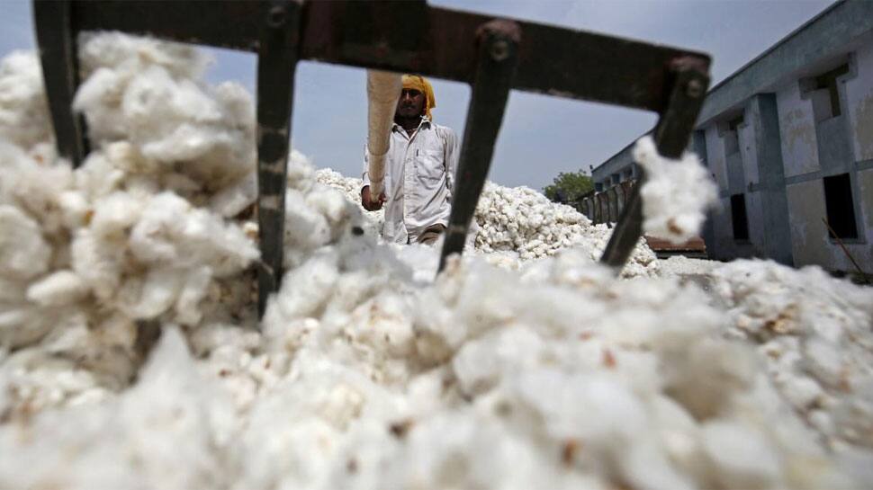 India rejects US charge of subsidising cotton beyond WTO limits