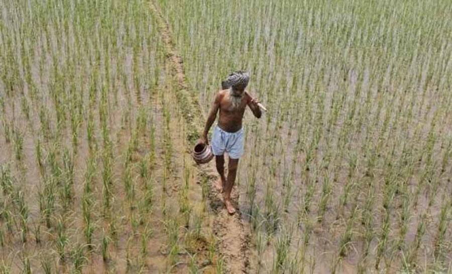 Agriculture Ministry withdraws report from Parliamentary panel on impact of note ban on farmers