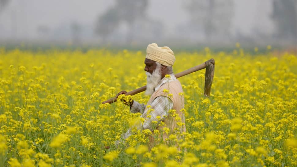 Centre approves key policy to double farm exports to $60 billion by 2022