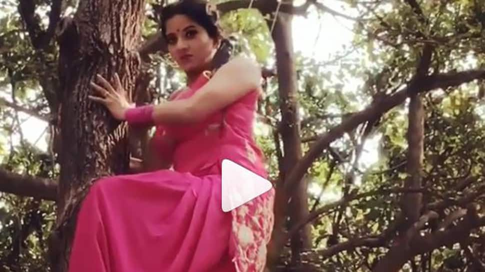 Monalisa flies from one tree to another in this video-Watch