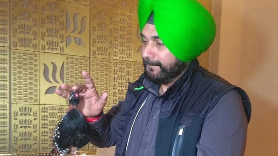 Now, Navjot Singh Sidhu in trouble over black partridge gift from Pakistan