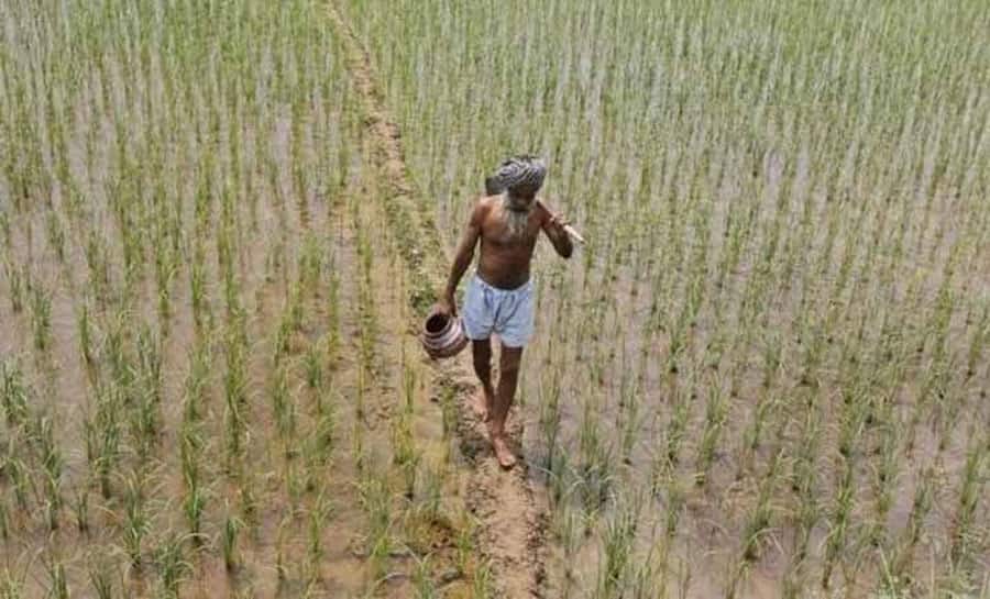 Loan waiver not a solution to farm distress: Niti Aayog