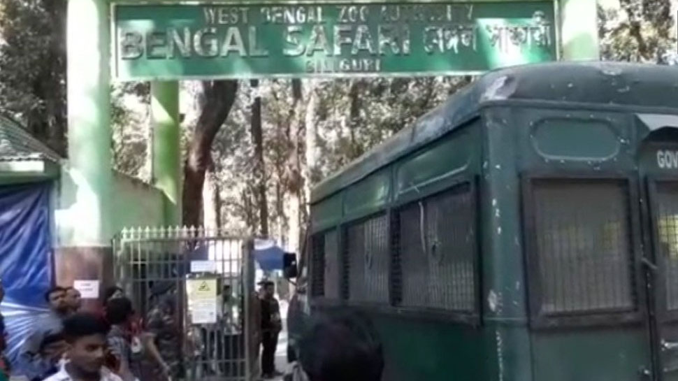 Panic ensues after leopard escapes from Bengal Safari Park in Siliguri Panic ensues after leopard escapes from Bengal Safari Park in Siliguri