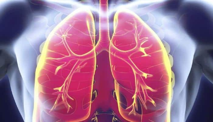 How childhood body composition determines lung health in adults