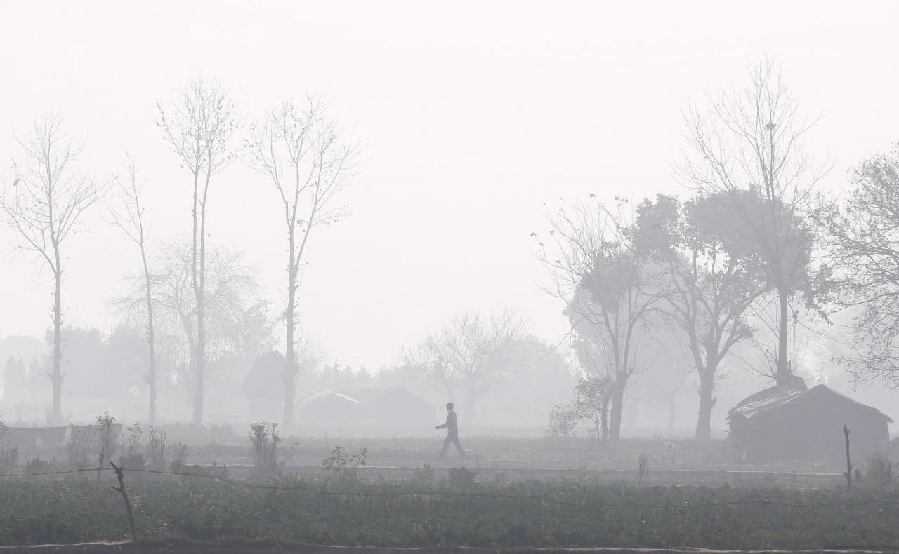 Misty Monday morning in Delhi
