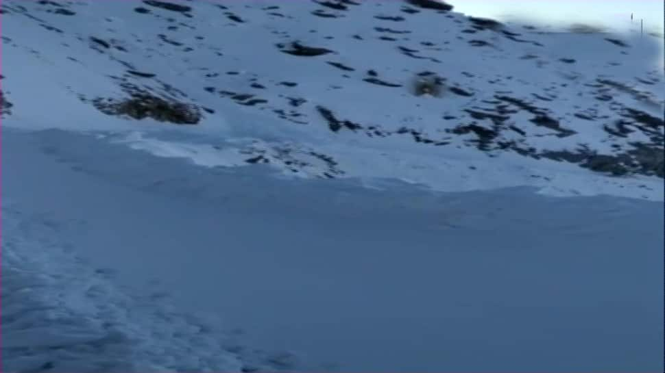 Ladakh avalanche: At least 5 bodies recovered, rescue ops continue