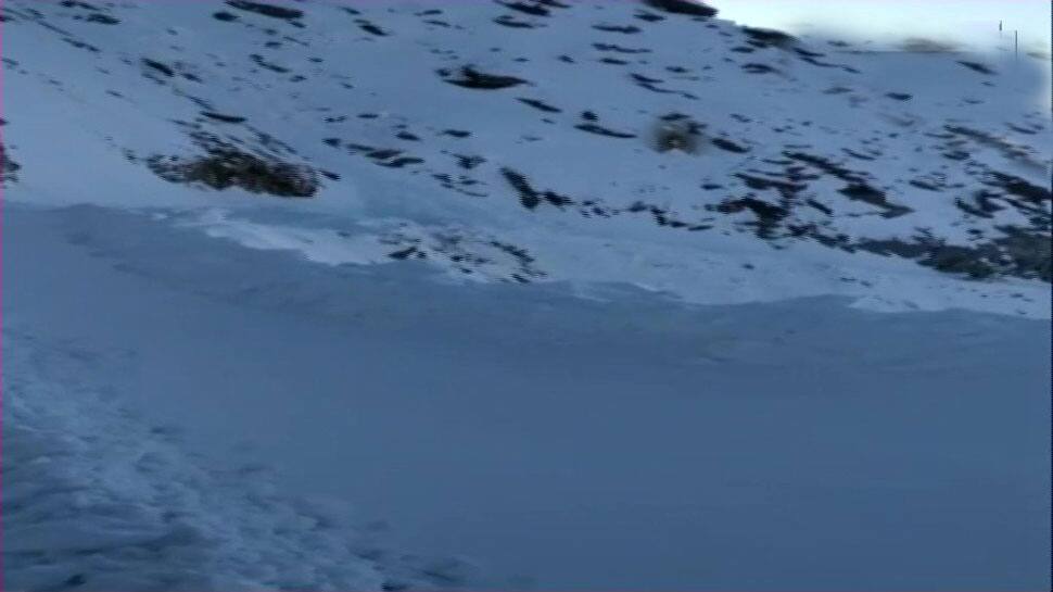 Ladakh avalanche: Two more bodies recovered, death toll reaches 7