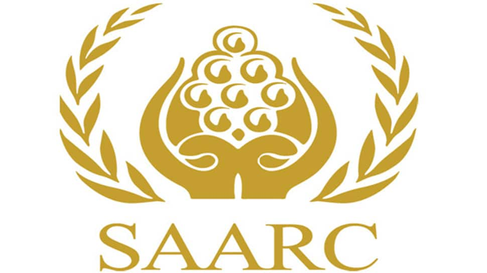 Cabinet approves $400 mn currency swap arrangement for SAARC nations