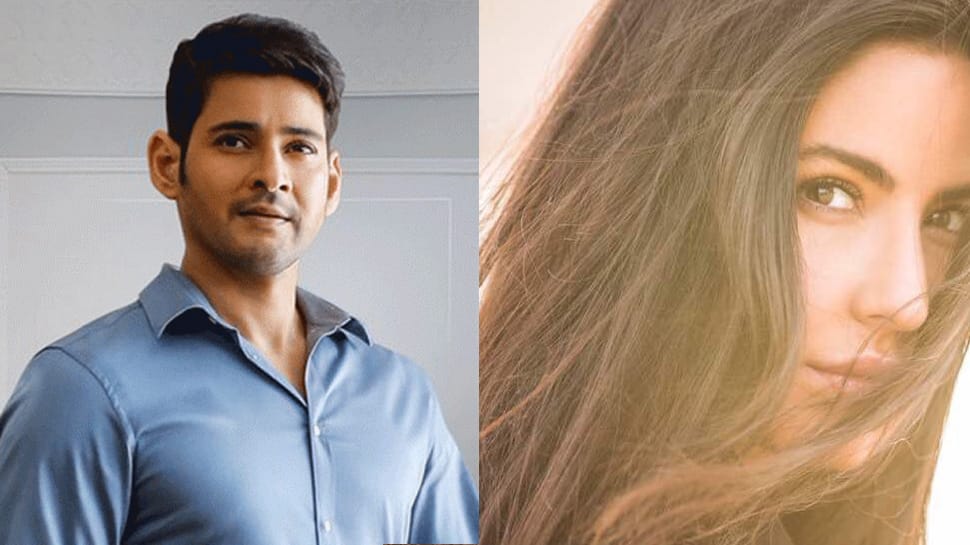 Katrina Kaif denies being approached for a South film opposite Mahesh Babu—Read inside