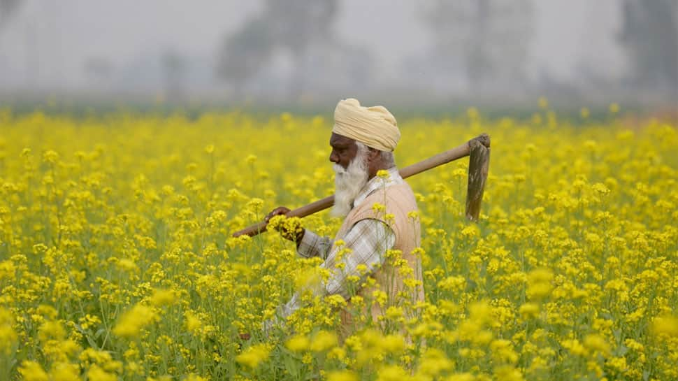 Interim Budget 2019: Big bonanza announced for farmers 