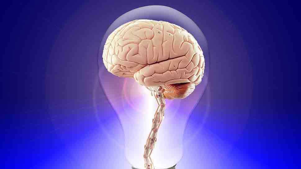 Men&#039;s brains diminish faster than women&#039;s: Study