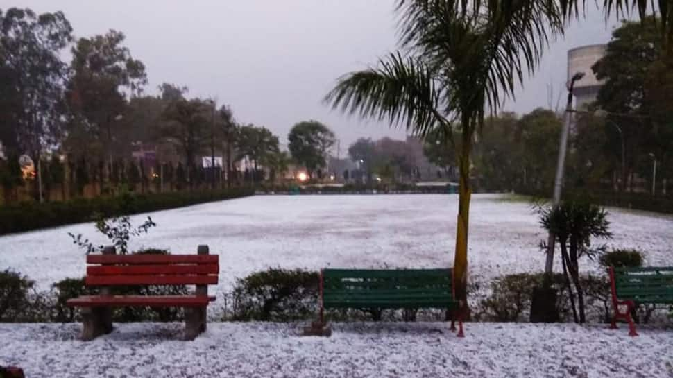 Watch: Delhi-NCR turns &#039;white&#039; after hail storm, heavy rains