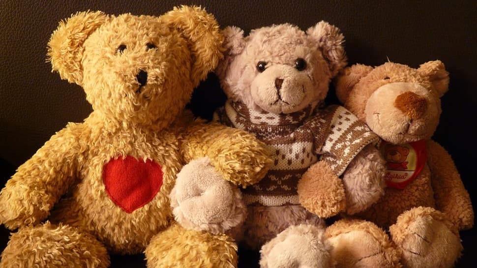 Teddy Day 2019: Unique ideas to celebrate the occasion