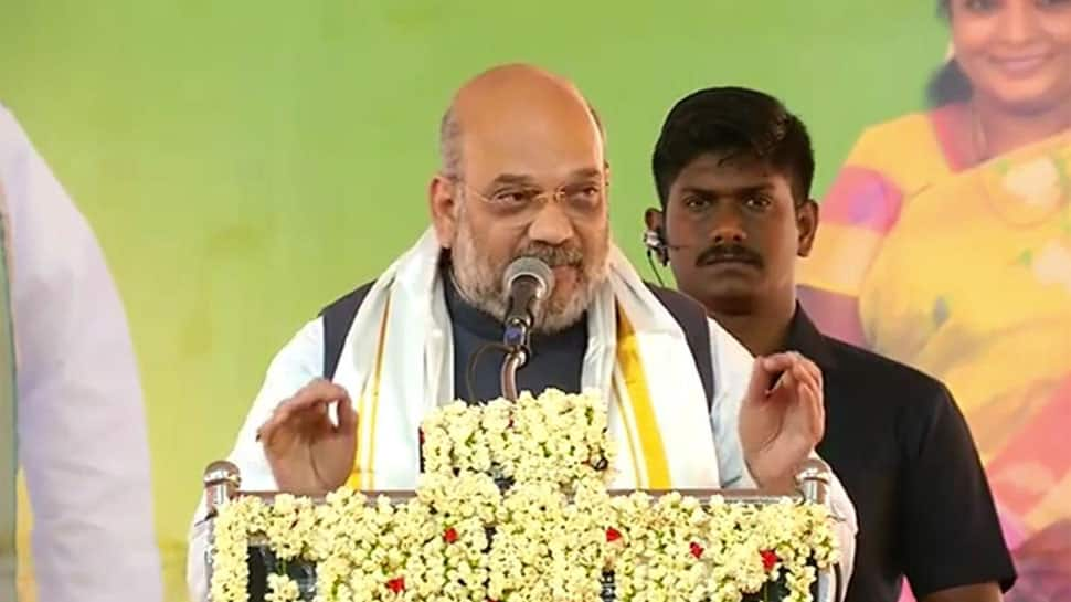 BJP-AIADMK-PMK combine will win 35 out of 39 seats in Tamil Nadu: Amit Shah