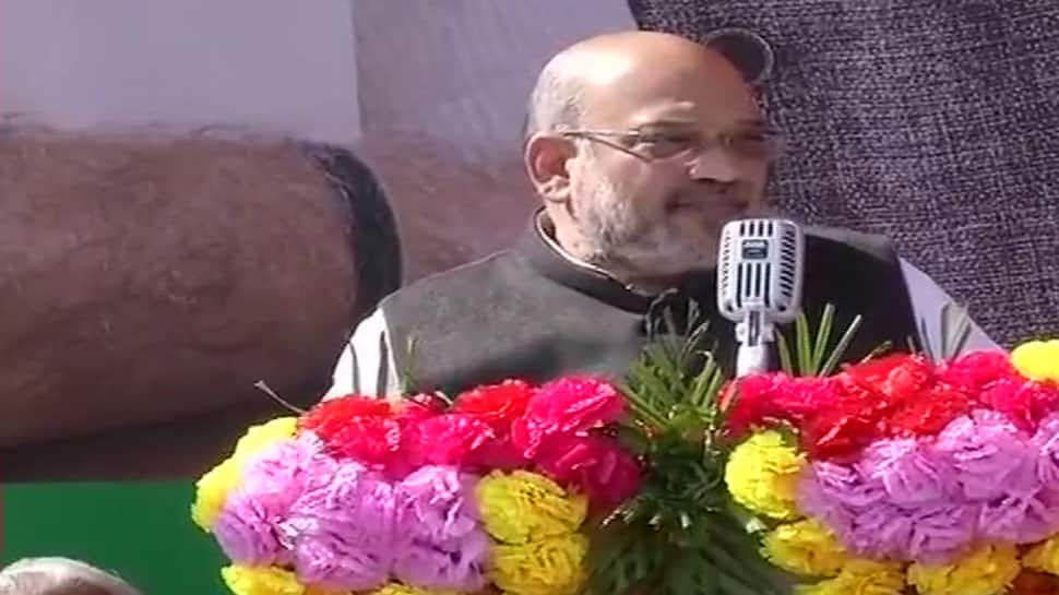 Every illegal immigrant from Kashmir to Kanyakumari will be thrown out: Amit Shah