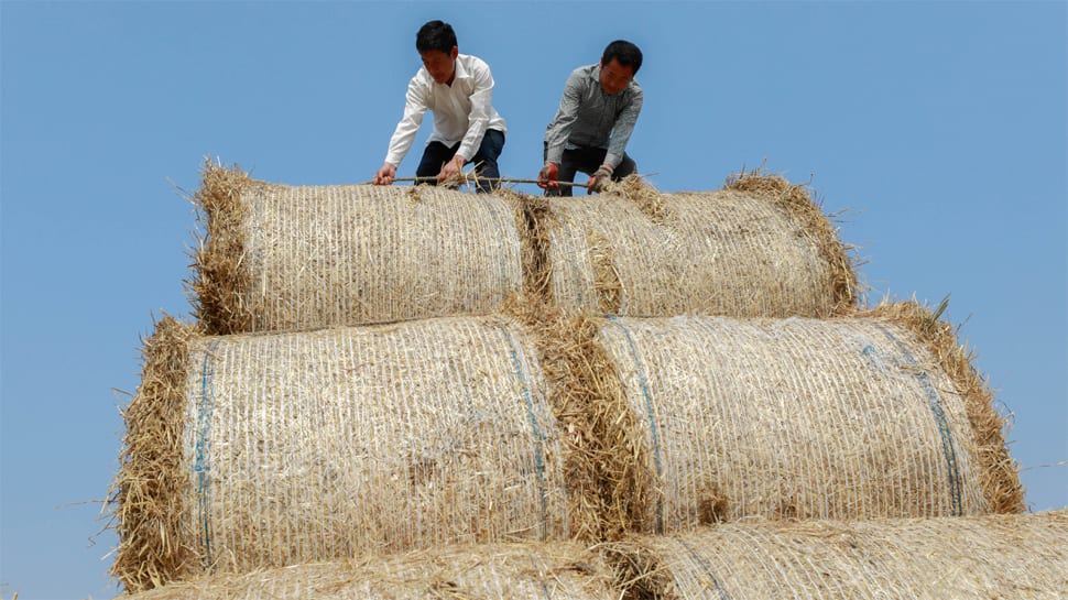 US wins WTO ruling on Chinese grains; decision likely to affect India