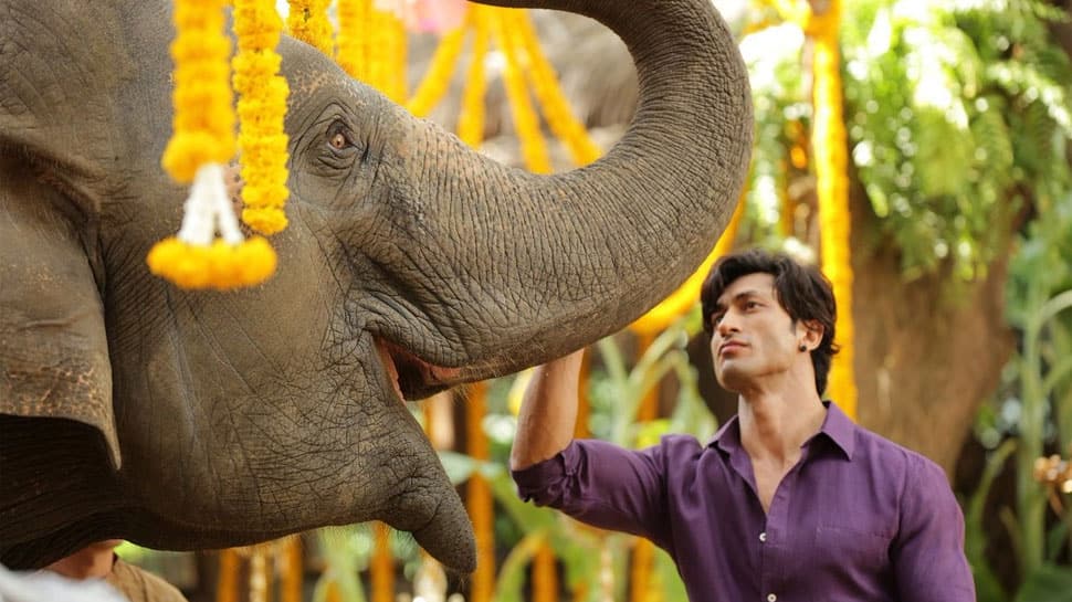 Vidyut Jammwal&#039;s &#039;Junglee&#039; treat for kids