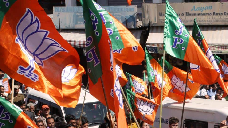 BJP will launch &#039;Vijay Sankalp Sabha&#039; poll campaign on Sunday for Lok Sabha election