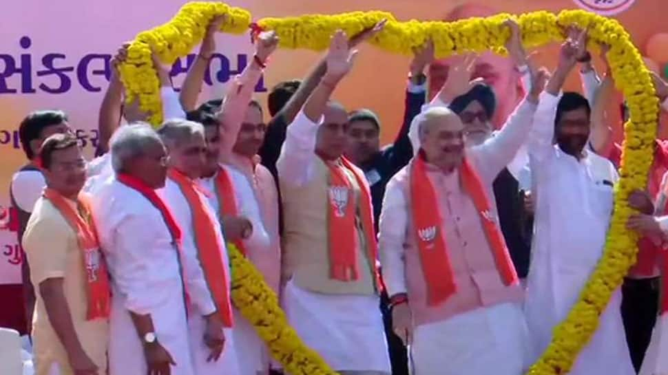 At BJP president Amit Shah&#039;s road show for Gandhinagar nomination, a show of NDA unity and strength