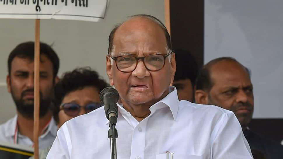 Sharad Pawar not to contest Lok Sabha election