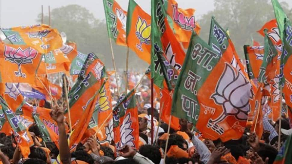 Celebrations at BJP headquarters