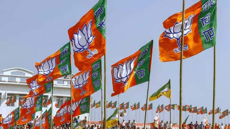  BJP retains Mapusa Assembly by-poll in Goa