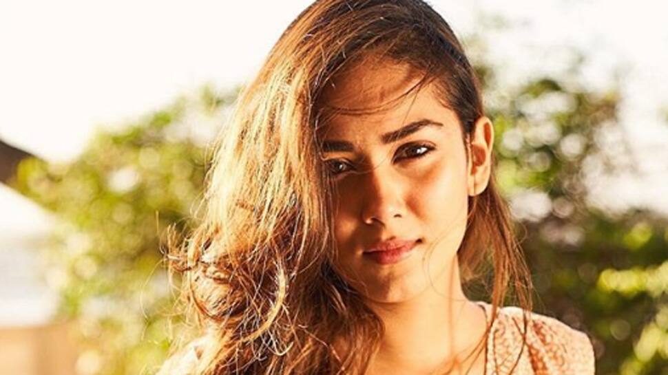 Mira Rajput is a hands-on mother: Ishaan Khatter