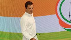 Bihar Congress chief claims party leaders conspired against Rahul in LS poll