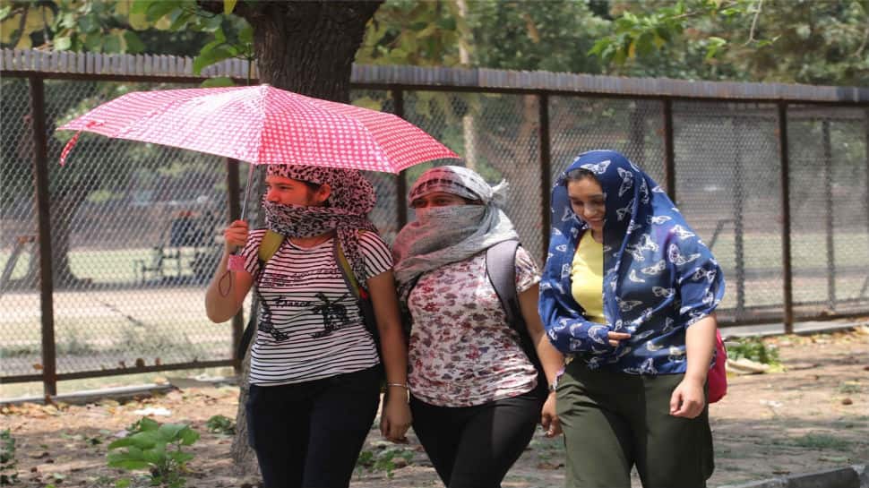 Delhi records its hottest day ever at 48 degree Celsius 