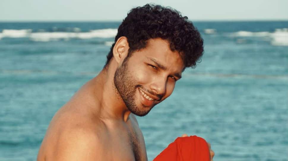 Siddhant Chaturvedi opens up on his fitness routine