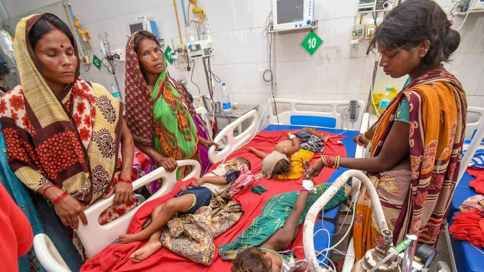 Acute Encephalitis Syndrome claims lives of 146 children in Bihar; litchi fruit under scanner over spread of infection