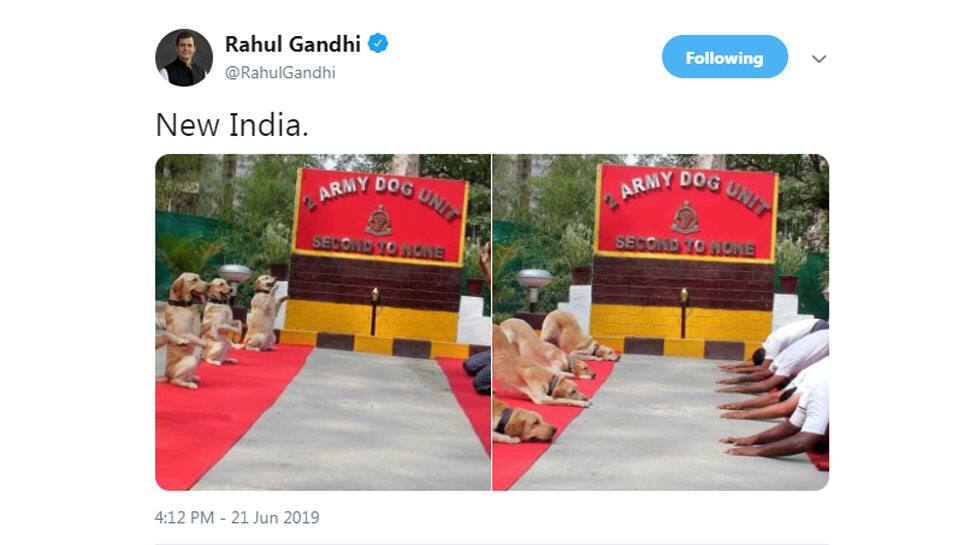 Rahul Gandhi mocks International Yoga Day celebrations by Army Dog Unit, posts insensitive tweet