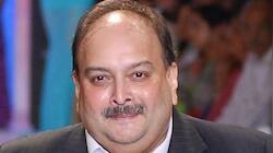 Antigua to repatriate Mehul Choksi: Timeline of PNB scam and his disappearance