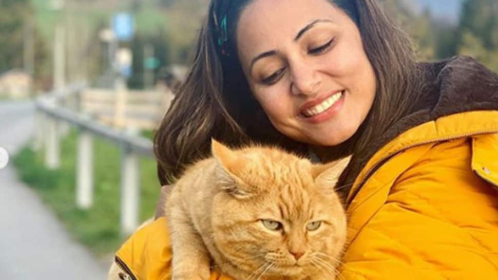 Hina Khan&#039;s pics with &#039;Mini Sher Khan&#039; aka Lucy the cat is too cute for words!