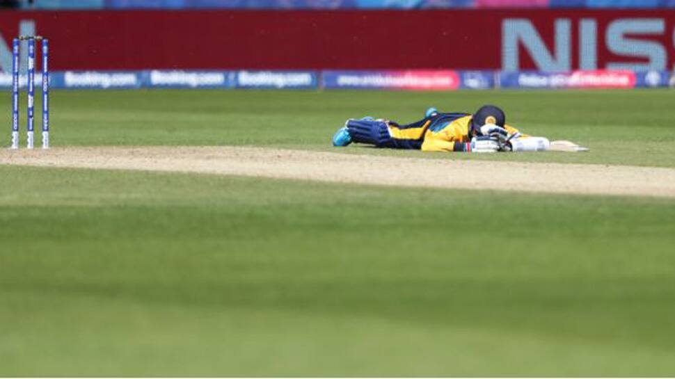  World Cup 2019: Bees attack temporarily interrupt Sri Lanka vs South Africa game 