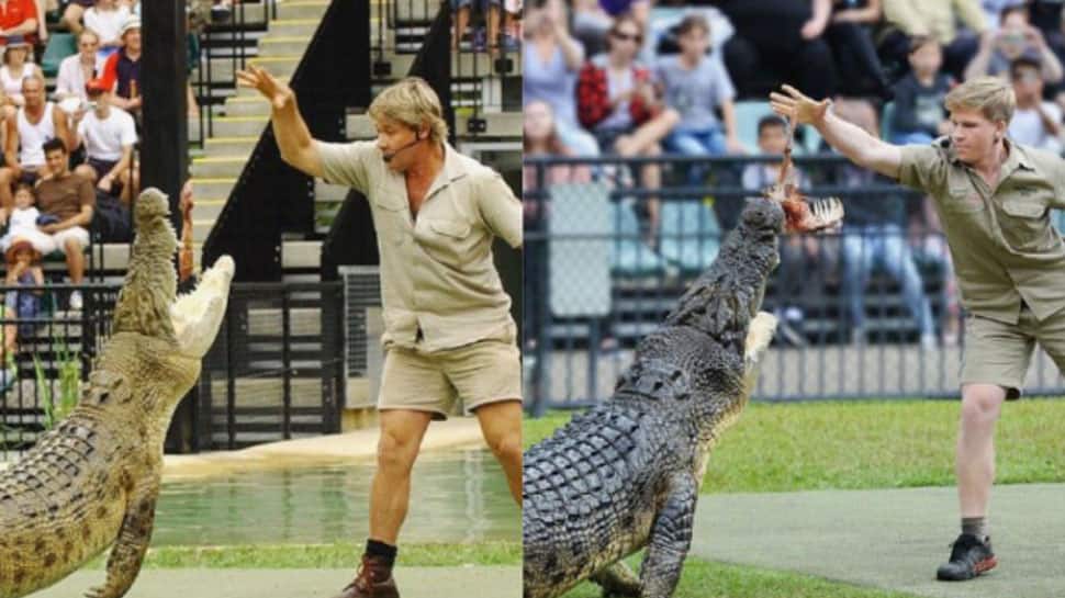 Steve Irwin&#039;s teenage son Robert feeds same crocodile &#039;Murray&#039; at same zoo after 15 years