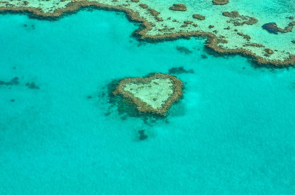 Great Barrier Reef facing unprecedented challenges