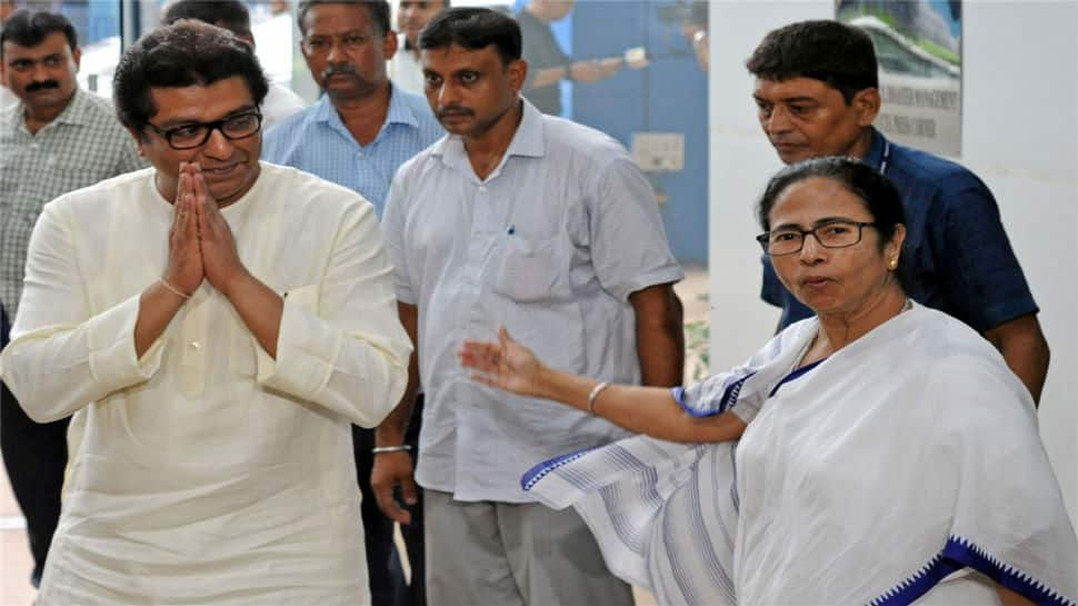 Raj Thackeray meets Mamata Banerjee, asks her to join his call for ballot boxes