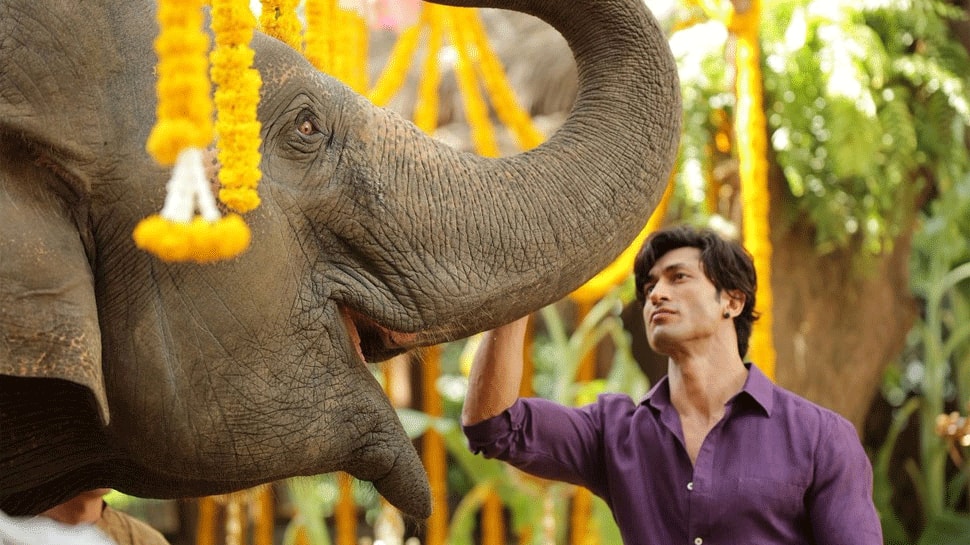 Vidyut Jammwal&#039;s &#039;Junglee&#039; wins big at action film week in China