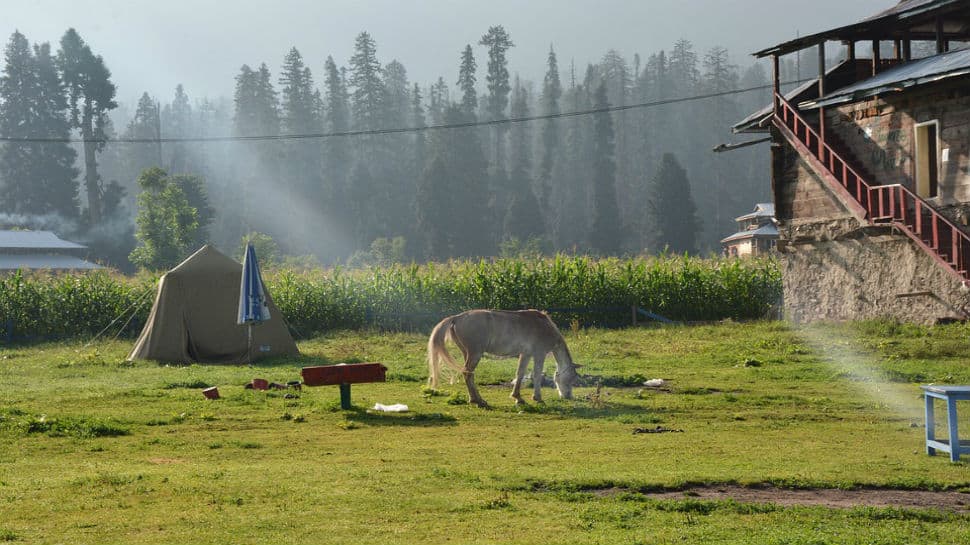 Hindus displaced from Kashmir eye return to home and fond memories