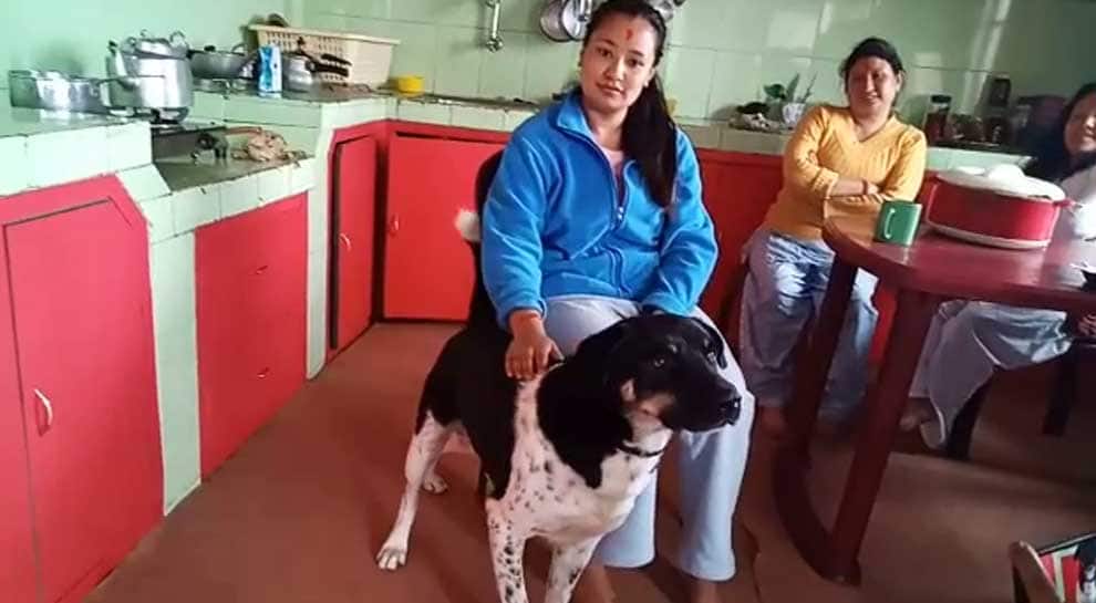 When a dog saved its owner from leopard attack in Darjeeling