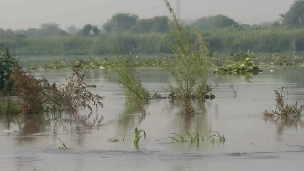 Full force of water in Yamuna by Wednesday: Delhi CM Arvind Kejriwal