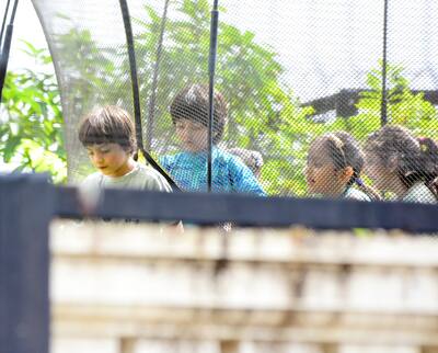 Shah Rukh Khan's son AbRam celebrating Dahi Handi festival