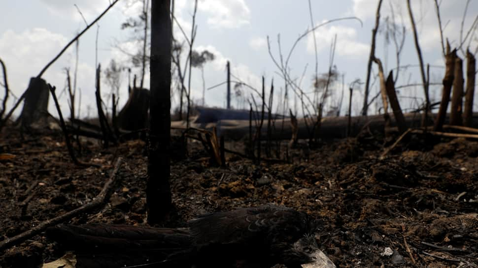 Warplanes dump water on Amazon as Brazil military begins fighting fires