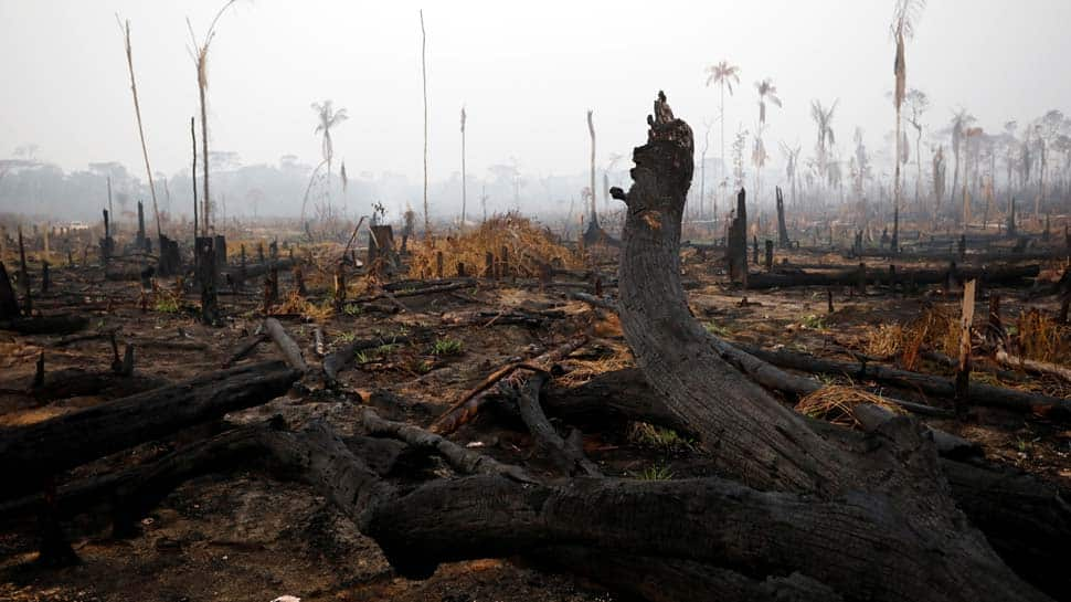 G7 nations to release emergency aid for Amazon forest fire crisis